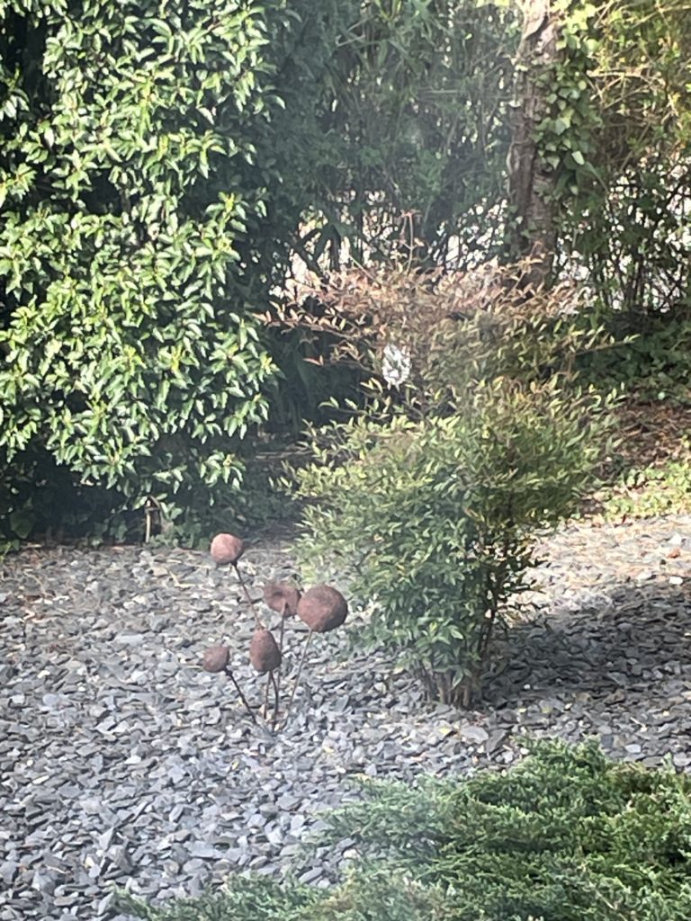 Champignons Effet Rouille